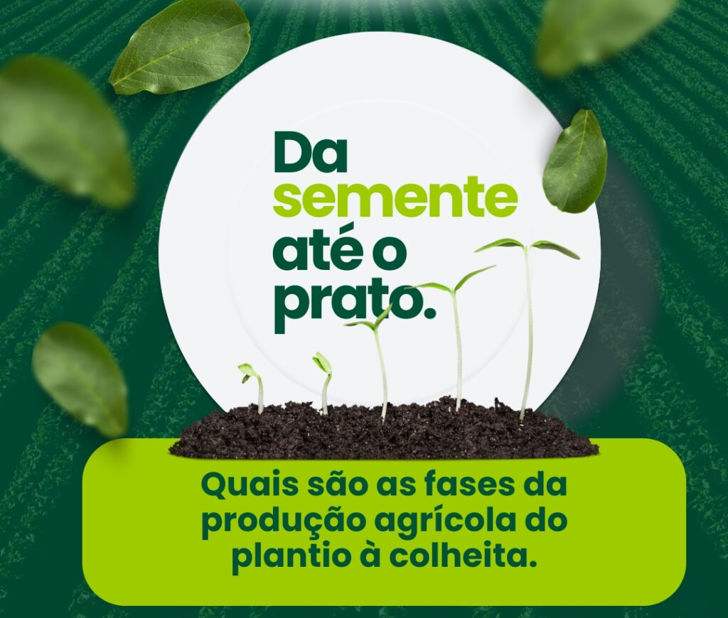 eg-distribuidora-de-pecas-agricolas-no-brasil-pecas-john-deere-new-holland-cnh-massey-fergusson