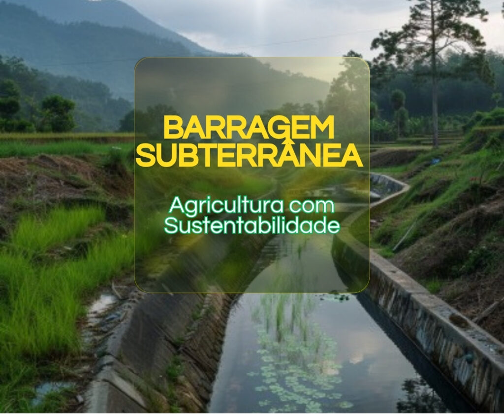 eg-distribuidora-de-pecas-agricolas-no-brasil-pecas-john-deere-new-holland-cnh-massey-fergusson