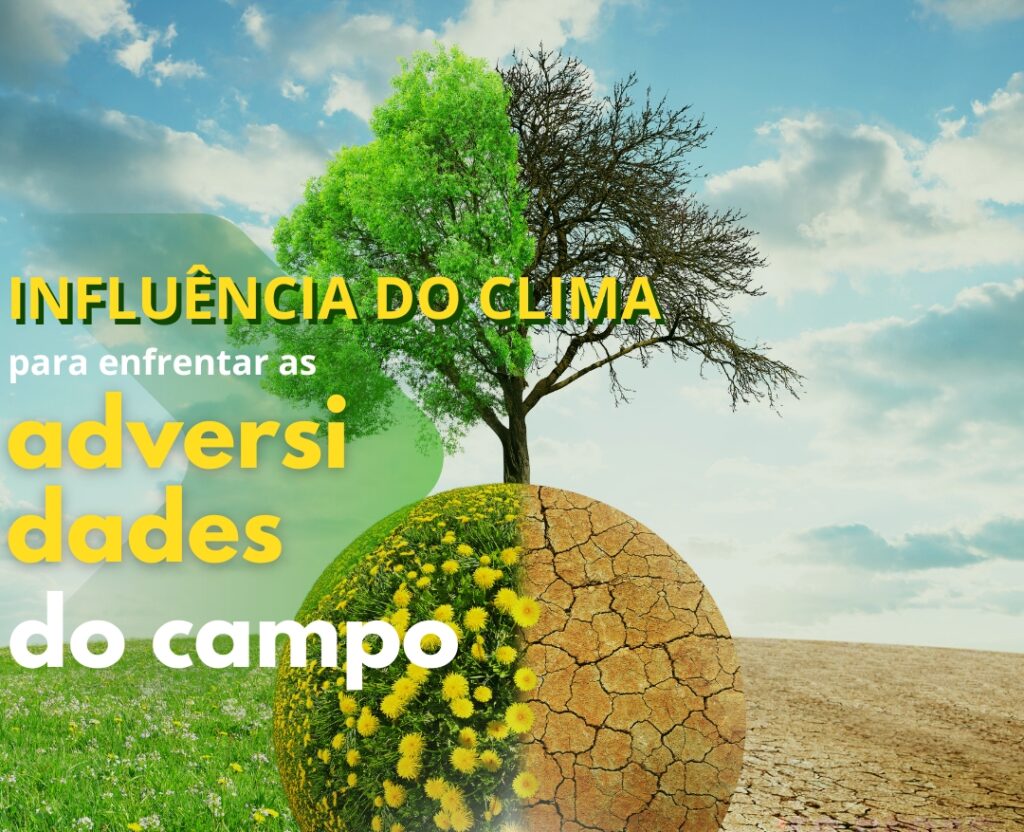 eg-distribuidora-de-pecas-agricolas-no-brasil-pecas-john-deere-new-holland-cnh-massey-fergusson