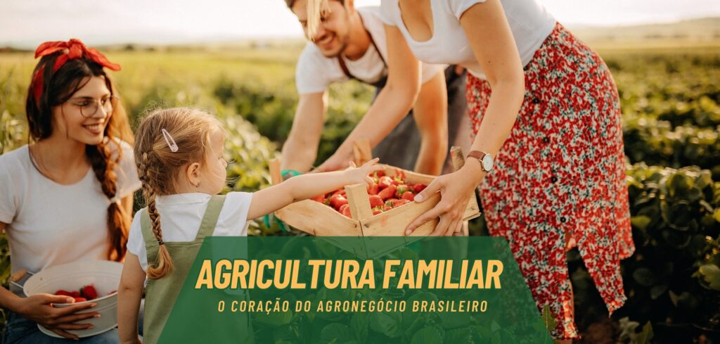 eg-distribuidora-de-pecas-agricolas-no-brasil-pecas-john-deere-new-holland-cnh-massey-fergusson