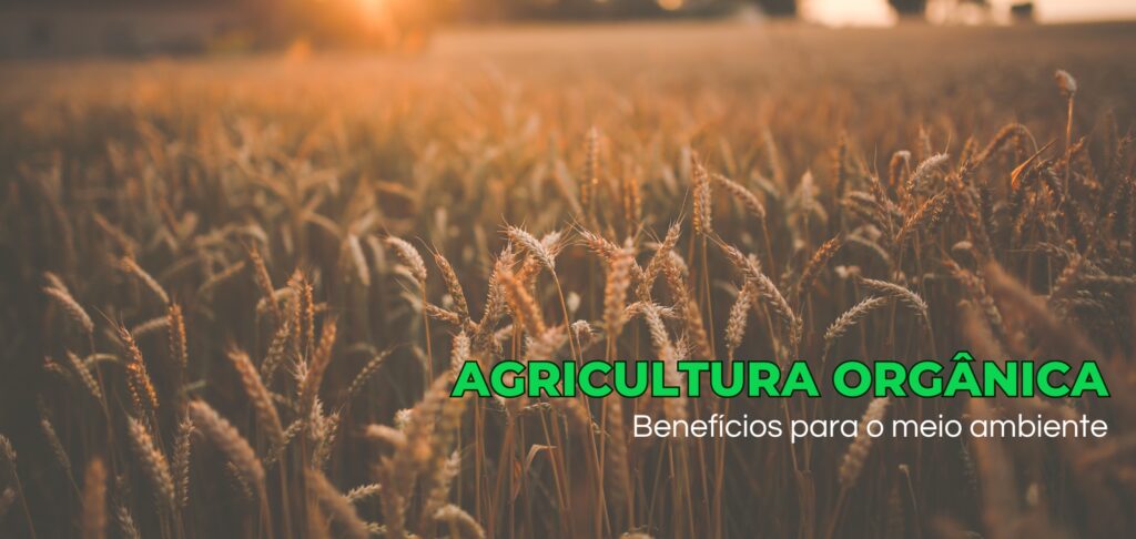 eg-distribuidora-de-pecas-agricolas-no-brasil-pecas-john-deere-new-holland-cnh-massey-fergusson
