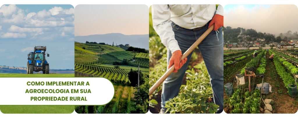 eg-distribuidora-de-pecas-agricolas-no-brasil-pecas-john-deere-new-holland-cnh-massey-fergusson
