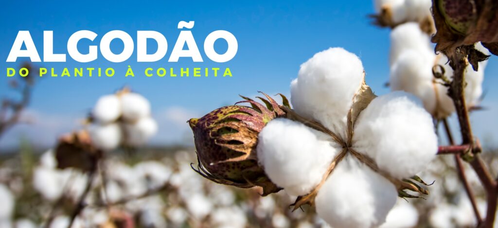 eg-distribuidora-de-pecas-agricolas-no-brasil-pecas-john-deere-new-holland-cnh-massey-fergusson