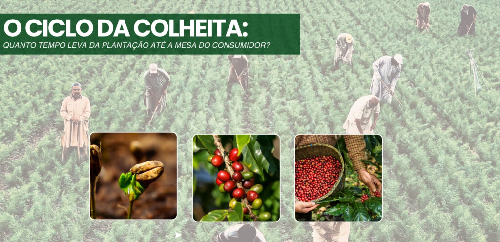 eg-distribuidora-de-pecas-agricolas-no-brasil-pecas-john-deere-new-holland-cnh-massey-fergusson