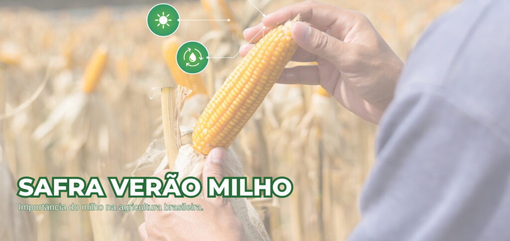 eg-distribuidora-de-pecas-agricolas-no-brasil