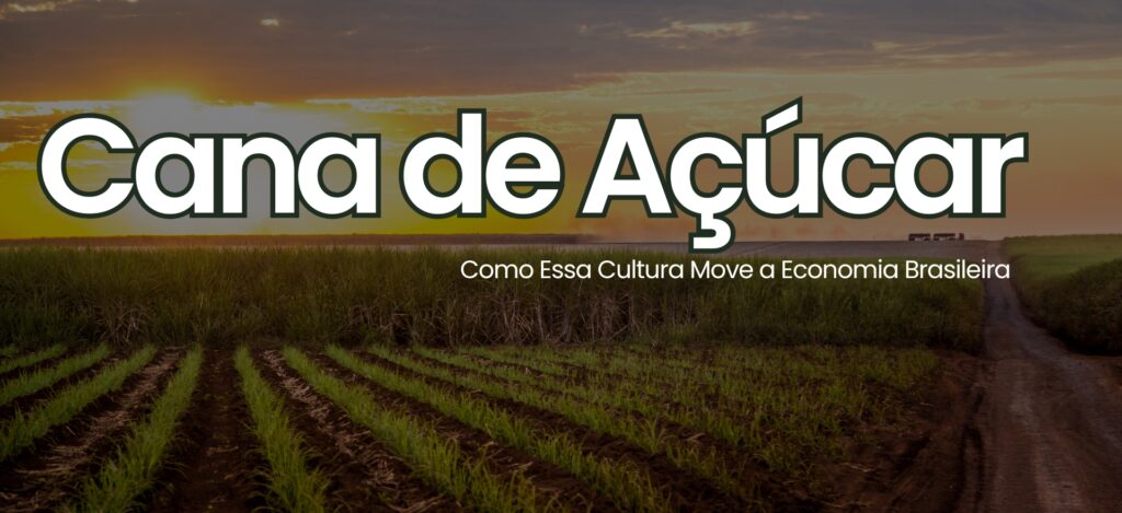eg-distribuidora-de-pecas-agricolas-no-brasil