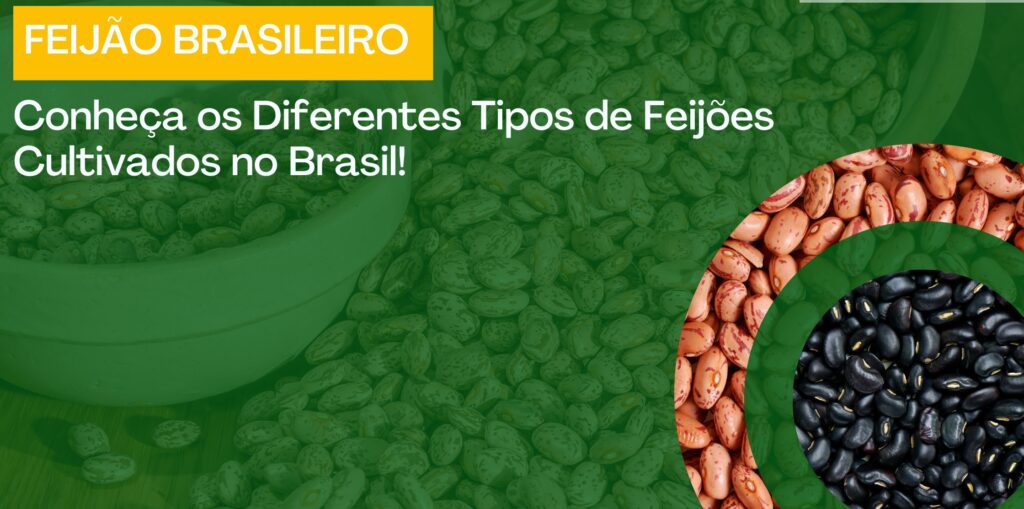 eg-distribuidora-de-pecas-agricolas-no-brasil