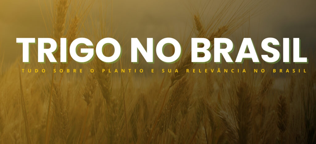 eg-distribuidora-de-pecas-agricolas-no-brasil
