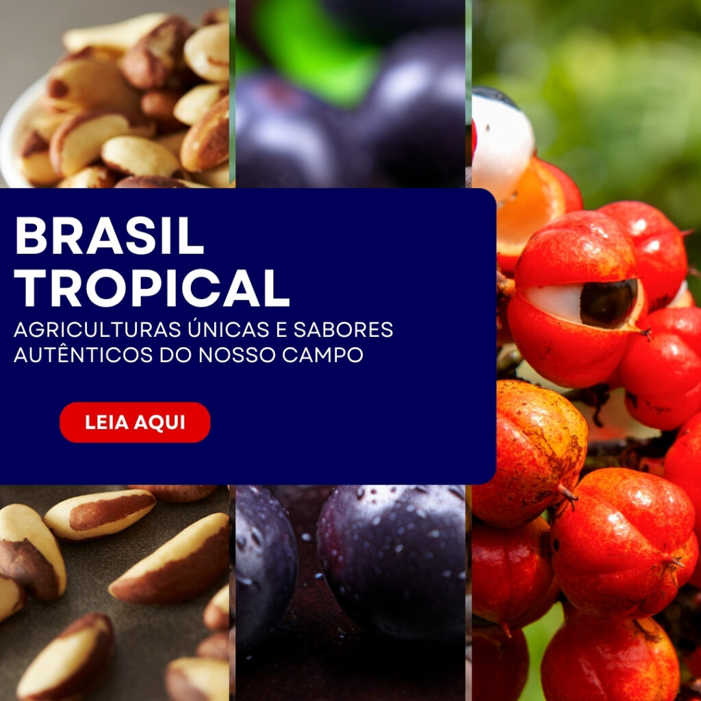 eg-industria-e-comercio-de-pecas-agricolas-no-brasil