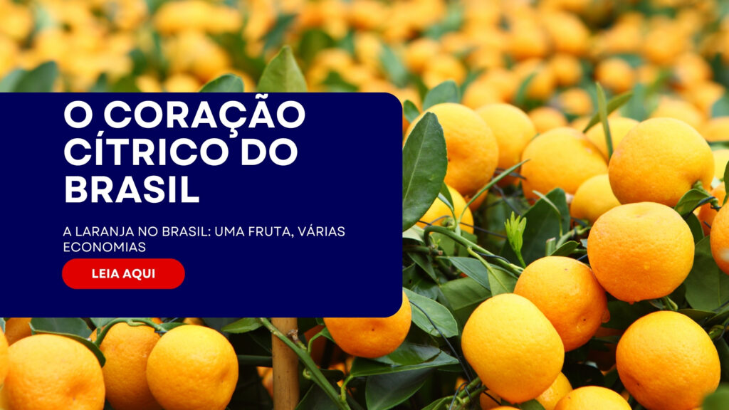 agricultura-da-laranja-no-brasil